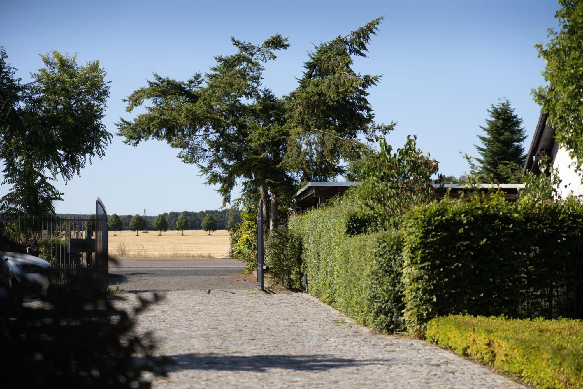 Pension Kleiner Koenig Struppen-Siedlung Exterior foto